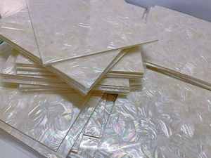 Foglio di madreperla bianco conchiglia di mare naturale foglio di Abalone della nuova zelanda per la decorazione della casa di mobili di artigianato artistico - Product Image 2