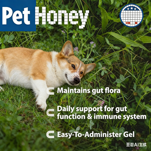 Complément alimentaire pour chiens OEM ODM en gel de pâte de calcium, riche en protéines, pour petites races, pour soutenir le système immunitaire et lutter contre la fatigue - Product Image 5