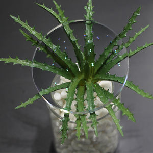 1.61 MR-8 जापान ब्लू प्रकाश अवरुद्ध लेंस ब्लू कट प्रकाशिकी लेंस UV420 ऑप्टिकल लेंस - Product Image 4