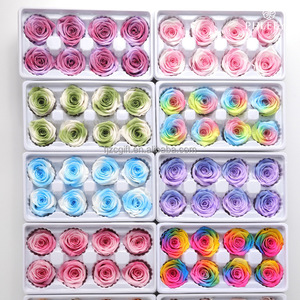 Cabezas de Rosa <span class=keywords><strong>Estabilizadas</strong></span> de 4-5 cm, Cabezas de Rosa Eternas Preservadas para Decoración - Product Image 1