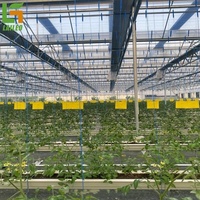 Tomaat Groen Huis Tunnel Invernaderos Polycarbonaat Multi-Span Agrarische Commerciële Kas Te Koop