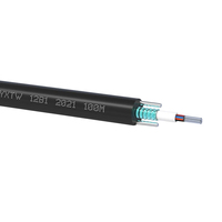Cable Óptico Blindado GYXTW para Exteriores de 8.0/7.0mm con Tubo Central, 100m, 500m, 1000m, 4, 6, 8, 12 Hilos, Monomodo, Rollo Completo para Redes