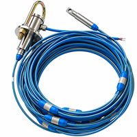 Câble de capteur de température et d'humidité multipoints en acier inoxydable avec protection IP67 pour la surveillance à distance des silos et des conteneurs à céréales