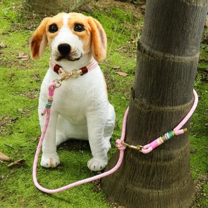 Conjunto de Correa y collar de perro trenzado de nailon multiusos ajustable de lujo <span class=keywords><strong>Elizabeth</strong></span> Cuerda gratis personalizada para perros y cachorros - Product Image 5