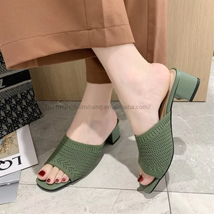 Nouvelles tongs d'été pour femmes, version coréenne, en tissu respirant, style chunky, pour l'extérieur, vente en gros - Product Image 4