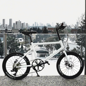 <span class=keywords><strong>Desviador</strong></span> <span class=keywords><strong>Shimano</strong></span> para bicicleta <span class=keywords><strong>de</strong></span> carretera fija <span class=keywords><strong>de</strong></span> 20 pulgadas, disco <span class=keywords><strong>de</strong></span> horquilla <span class=keywords><strong>de</strong></span> acero y aluminio para deportes <span class=keywords><strong>de</strong></span> carreras en interiores MTB <span class=keywords><strong>de</strong></span> 24 velocidades, <span class=keywords><strong>de</strong></span> aluminio, para uso en interiores - Product Image 4