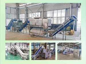 Mesin pembuat granul bawang putih kering biaya pabrik pengolahan butiran bawang putih tanaman - Product Image 6