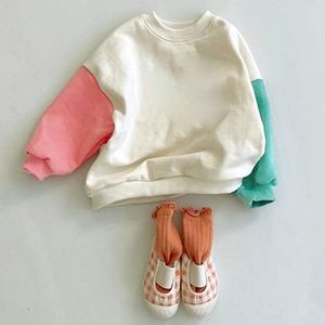 Sweat-shirt simple et tendance pour bébé, à manches longues, avec blocs de couleur, col rond, pull pour tout-petit - Product Image 4