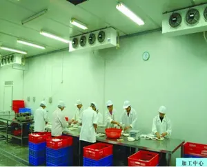 Small size Vegetable fruit Food storage cold room / Slaughterhouse Cold storage room for meat
