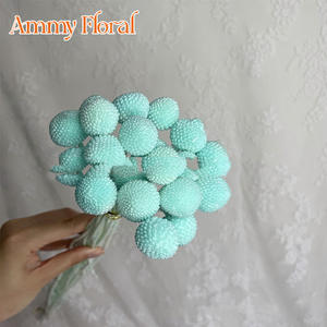 AM-PFKC06 Ammy 20 Têtes <span class=keywords><strong>de</strong></span> Fleurs Dorées Naturelles Billy Balls, Fleurs Préservées, Matériaux Bruts DIY, Décoration d'Intérieur, Véritables Boules Dorées Éternelles - Product Image 5