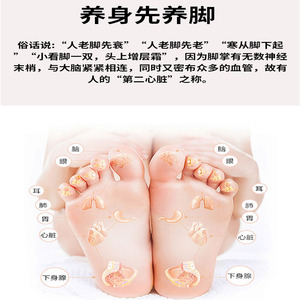 Poudre de Soin des Pieds à l'Armoise 6g – 30 Sachets pour Usage Domestique – Élimination de l'Humidité et Soulagement du Froid - Product Image 5