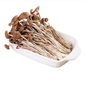 Série de champignons naturels nutritifs champignon d'arbre à thé séché bonne qualité cyclocybe <span class=keywords><strong>aegerita</strong></span> - Product Image 1