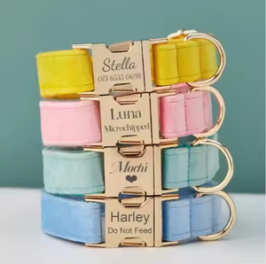 <span class=keywords><strong>Collar</strong></span> y correa de perro personalizado suave de lujo de terciopelo de varios colores con placa de Nombre de mascota grabada regalo de cachorro de boda-Petsign - Product Image 1