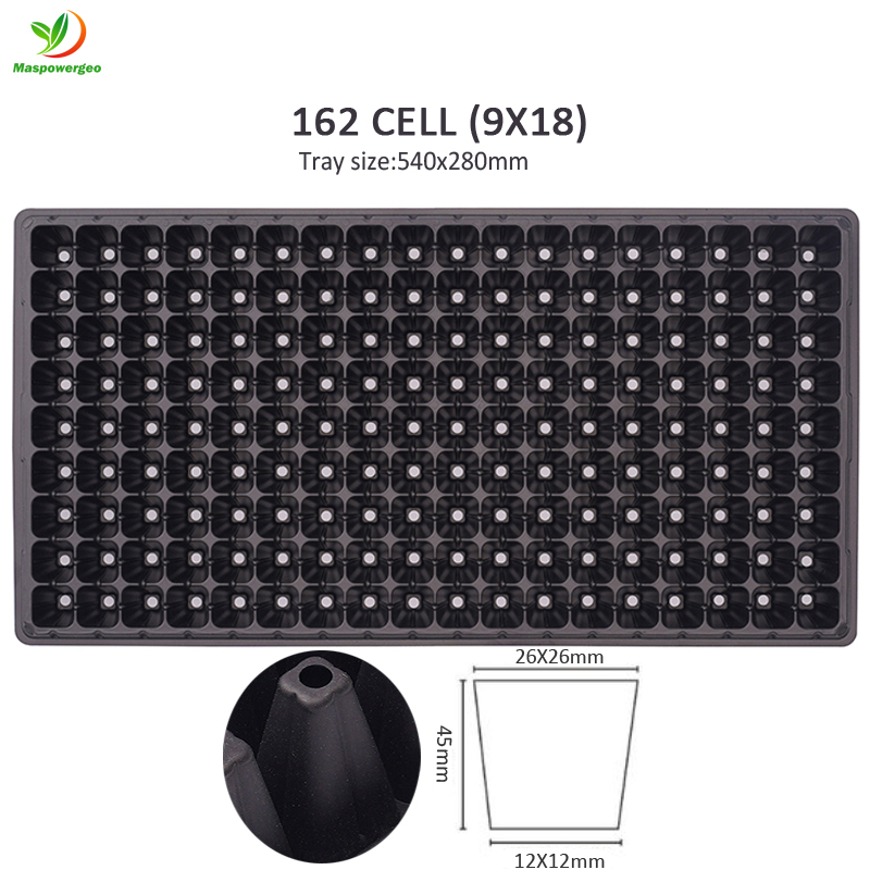 noir : 162 cellules