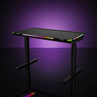 Bureau de jeu électrique à LED RGB, réglable en hauteur avec double moteur, table de jeu informatique pour la vente en gros WS4091