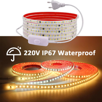 AC 220V Led Bande Lumière Extérieure Étanche Haute Qualité SMD 2835 120LED IP65 Blanc Chaud Blanc Lumière 3000K 4000K 6500K