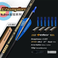 Flèche de tir à l'arc en carbone pur Pandarus Champion 0,001'' ID 6,2 mm 32 pouces SP300/350/400/500/600/700/800 avec plume en plastique