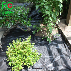 Pp tissu non tissé <span class=keywords><strong>tapis</strong></span> de mauvaises herbes <span class=keywords><strong>anti</strong></span>-herbe couverture légumes sol protéger tissu - Product Image 2