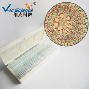 Fábrica de alta calidad produce secciones transversales de raíces de iris, portapreparaciones biológicos, muestras de tejido vegetal para observación, y - Product Image 2