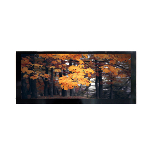 자동차 대시 LCD 용 멀티 디스플레이 맞춤형 12.3 인치 1920*720 IPS - Product Image 5