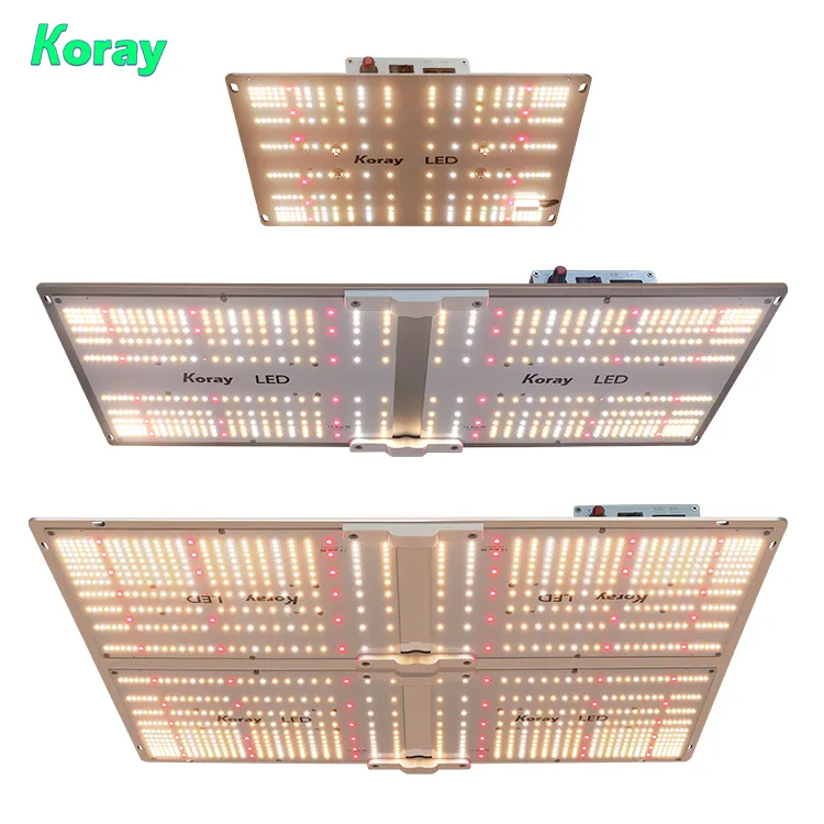 Samsung LM 301H 281B LM301H LM301B Quang Phổ Đầy Đủ SF 480W 400W 260W Đèn LED Trồng Cây 5X5 Thủy Canh Cho Cây Trong Nhà Trong Vườn