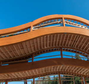 Poutres de pont en bois lamellé (qualité infrastructure) - Product Image 6