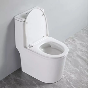 Recién llegado, artículos sanitarios <span class=keywords><strong>de</strong></span> baño <span class=keywords><strong>de</strong></span> alta temperatura, sifón <span class=keywords><strong>de</strong></span> cerámica, tamaño pequeño, cubierta <span class=keywords><strong>de</strong></span> asiento silencioso <span class=keywords><strong>de</strong></span> doble descarga, inodoro <span class=keywords><strong>de</strong></span> una pieza - Product Image 3
