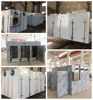 CT-C Serie Heteluchtcirculatie Droogoven Worst Kardemom Droogmachine Industriële Tomatengroente Droogoven