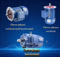Moteur asynchrone triphasé série YE3 315M/S 50Hz/60Hz à économie d'énergie et haute efficacité pour usage industriel