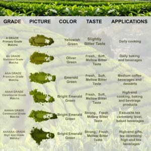 Matcha pur biologique, poudre de thé vert matcha instantanée, amincissant, qualité AAAAAA, usage cérémonial, boîte en vrac, logo personnalisé, en conserve - Product Image 6