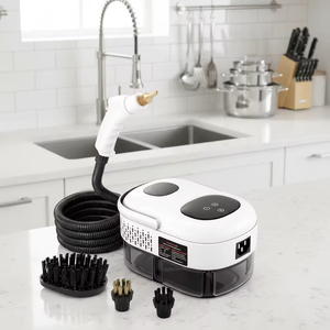 Nettoyeur Vapeur Haute Pression Portable pour Voiture - Product Image 1