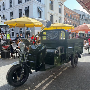 Fabriek-Directe Elektrische Motorfiets Met Zijspan Voor Vrachtgebruik 400Kg Laadvermogen 50-70 Km/h Snelheid - Product Image 1