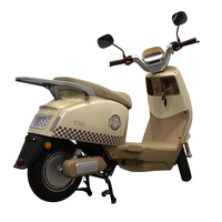 Sepeda Listrik 800W Grosir untuk Dewasa, Stylish & Tahan Lama, Tegangan 60v dengan Spion Sein, Motor Listrik