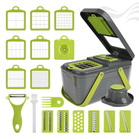 Fabrieksgroothandel Fruit-En Groenteverwerkingsmachines Abs Ontwerp Groentesnijder 22 In 1 Groentechopper
