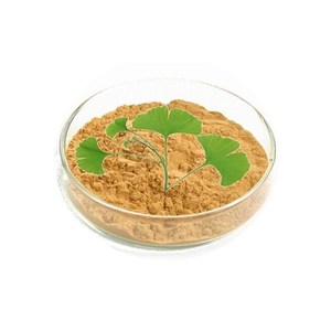 Gingko สารสกัดจากผง24% flavonoids ที่6% terpene lactones - Product Image 4