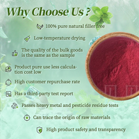 Poudre de betterave de haute qualité poudre d'extrait de racine de betterave rouge naturelle de qualité alimentaire
