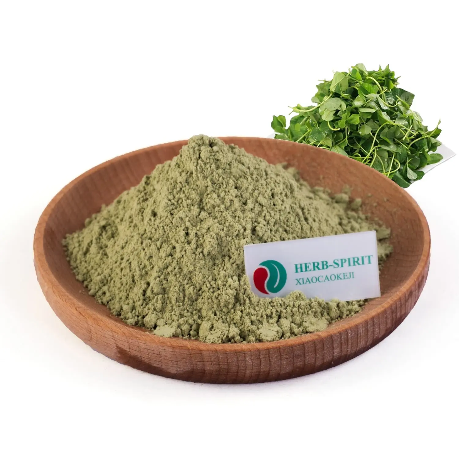 Organic Bulk Alfalfa Grass Powder Pure Alfalfa Extract