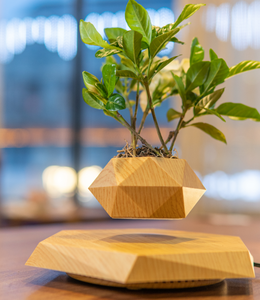 Maceta flotante HCNT Air Bonsai para plantas, maceta de levitación magnética para plantas artificiales, flores, decoración del hogar, dormitorio - Product Image 6