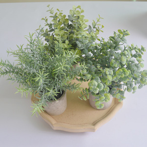 QSLH-VF270 Pack 3 <span class=keywords><strong>En</strong></span> <span class=keywords><strong>Pot</strong></span> Feuilles D'<span class=keywords><strong>eucalyptus</strong></span> Artificielles <span class=keywords><strong>Mini</strong></span> plantes <span class=keywords><strong>En</strong></span> <span class=keywords><strong>Pot</strong></span> artificielle décor - Product Image 4