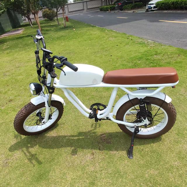 Vintage Moto Style OEM  Electric Bike for with 48V Battery, 750W 1000W Motor, 7 Speed, 20" Tire Ebike