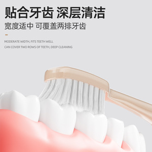Adult Toothbrush Soft Bristle 0.15Mm Filament Diameter Gum Care Cleaning Manual Toothbrush - Product Image 5