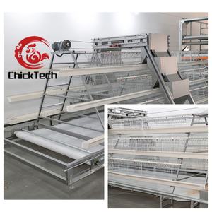 Nouvelle cage à poules automatique de <span class=keywords><strong>type</strong></span> <span class=keywords><strong>A</strong></span>, en acier galvanisé à chaud, longue durée de vie, pour l'élevage avicole - Product Image 1