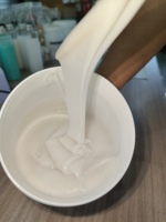 Caoutchouc de silicone liquide RTV2 pour la fabrication de moules en résine époxy