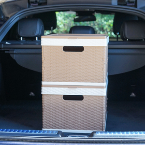 Rattan Design Car Trunk Backseats Water Bottle Organizer Portable Outdoor Storage Box Picnic Basket