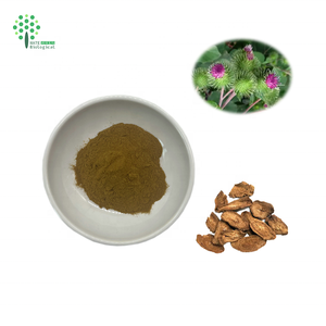 Chiết xuất rễ ngưu bàng Bột ngưu bàng Arctiin - Product Image 1