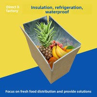 Großhandel Aluminium folie Isolier karton Kühlkette Karton Isolierte Falt schaum Box für Meeres früchte Frisches Obst Sushi Jelly Food