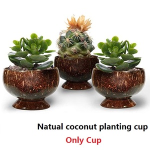 新设计花挂椰子壳播种篮子天然椰子种植锅 - Product Image 6