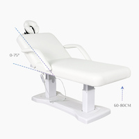 Table de massage électrique à 3 moteurs, oreiller amovible, lit de physiothérapie réglable pour salon de beauté, design moderne pour hôtel et spa