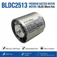 Moteur BLDC Micro 310V DC 105000 tr/min à Vitesse Élevée, Mini Moteur Sans Balais pour Sèche-Cheveux et Ventilateur Soufflant – Vente Directe Usine