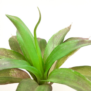 Venta de Decoración de Interiores, Planta Artificial de <span class=keywords><strong>Agave</strong></span>, Suculentas Artificiales - Product Image 5